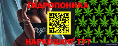 ешки Комсомольск-на-Амуре