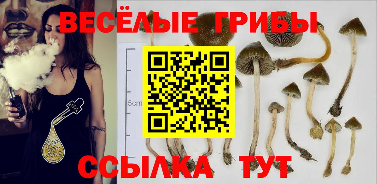 Галлюциногенные грибы мицелий Заволжье